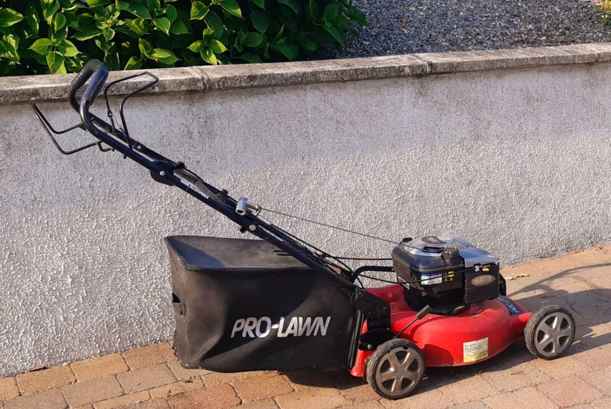 Large Lawnmower - Image 3