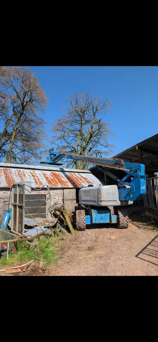 Tree care - Image 2