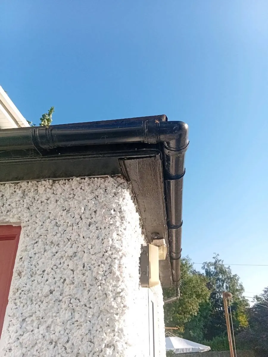 Wasp Control. - Image 3