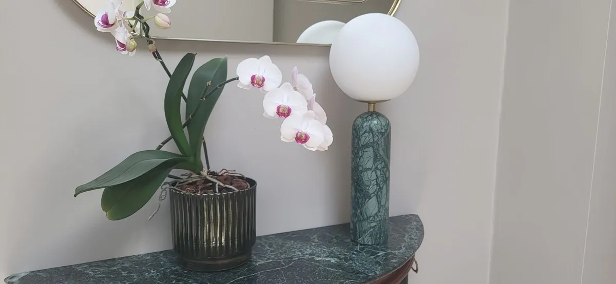 Table Lamp - Image 2