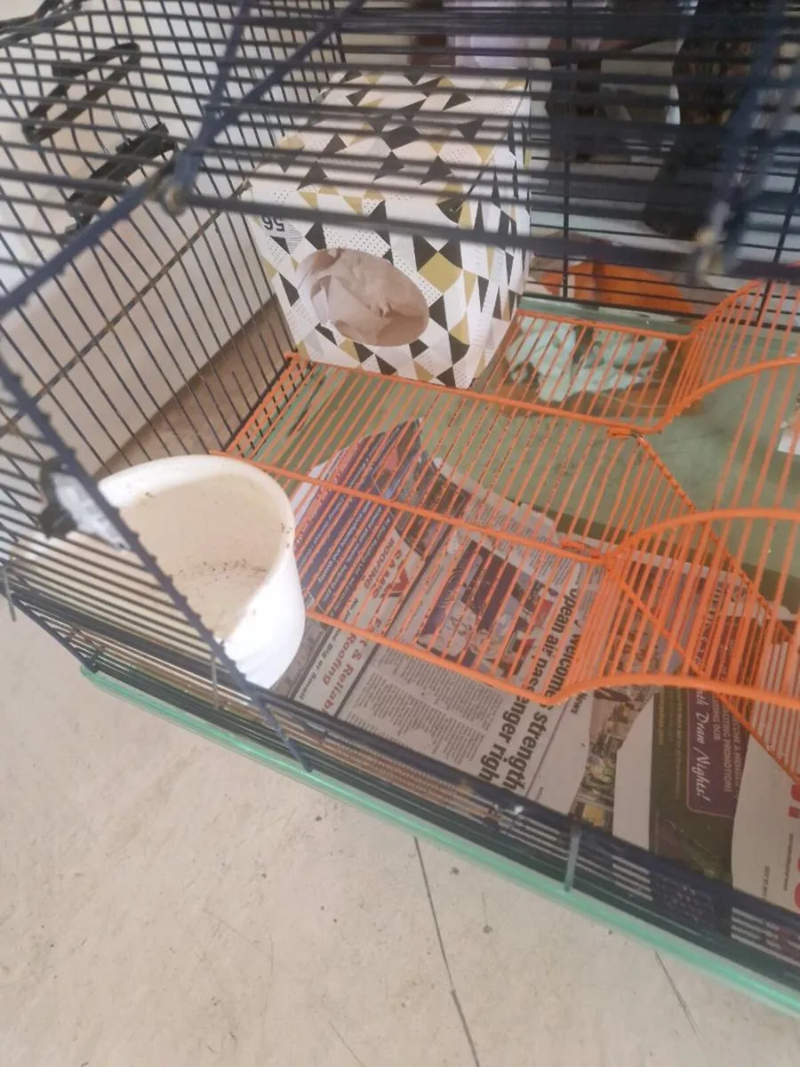 Ginny pig cage hamster rabbit - Image 3