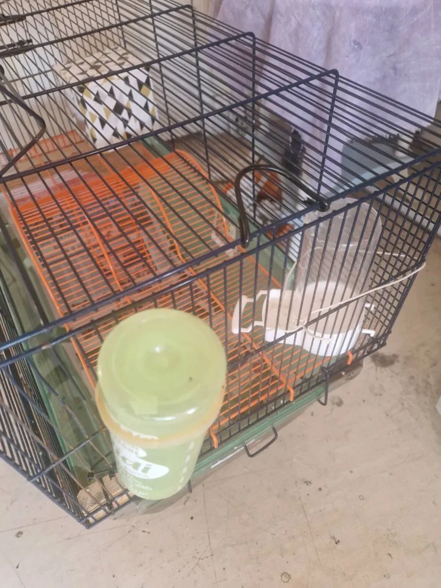 Ginny pig cage hamster rabbit - Image 4