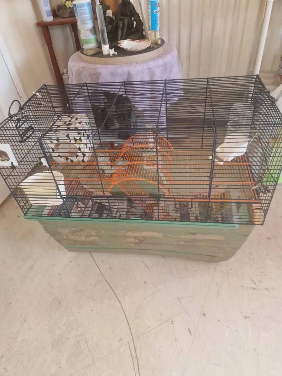 Ginny pig cage hamster rabbit - Image 1
