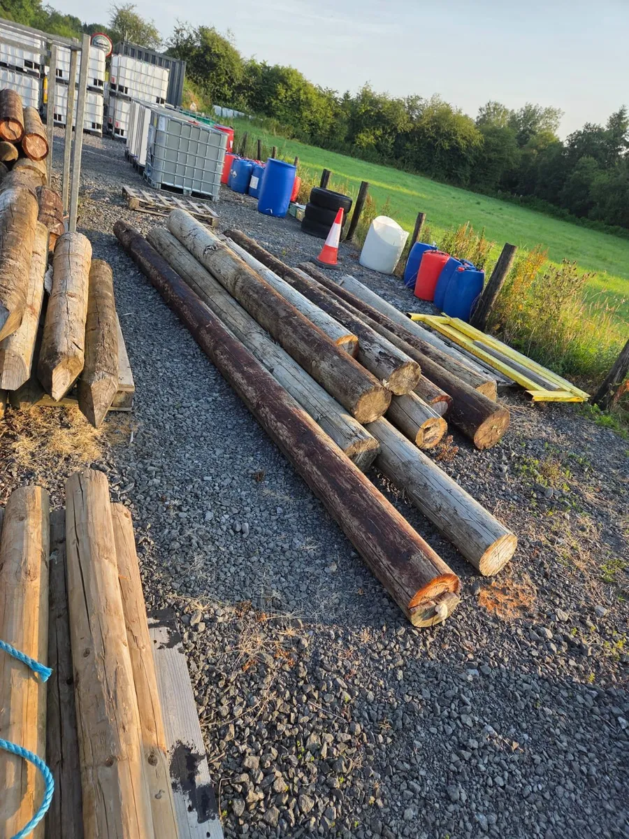 Timber Strainers - Image 1