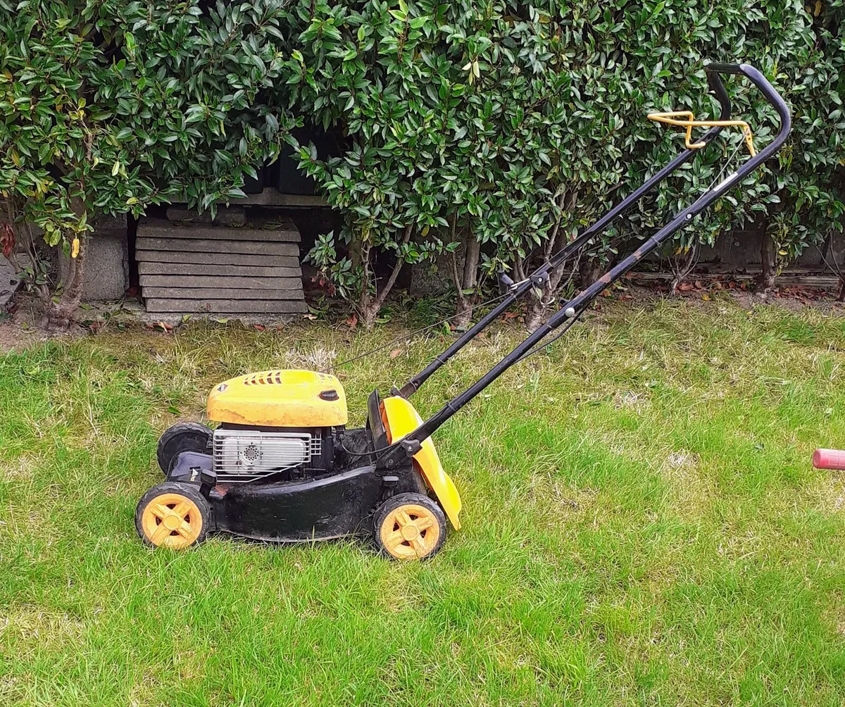 Lawn mowers - Image 1