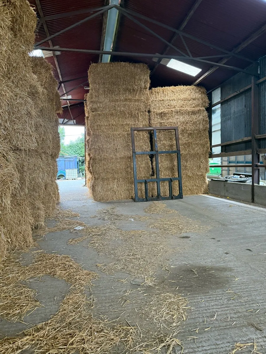 Barley wheat and oaten straw - Image 3