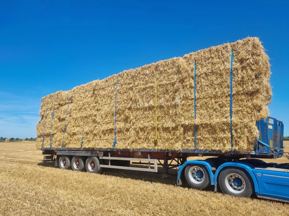 Barley wheat and oaten straw - Image 1