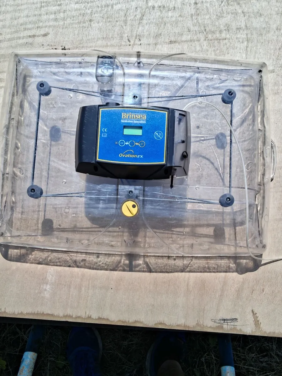 Egg Incubator - Image 3