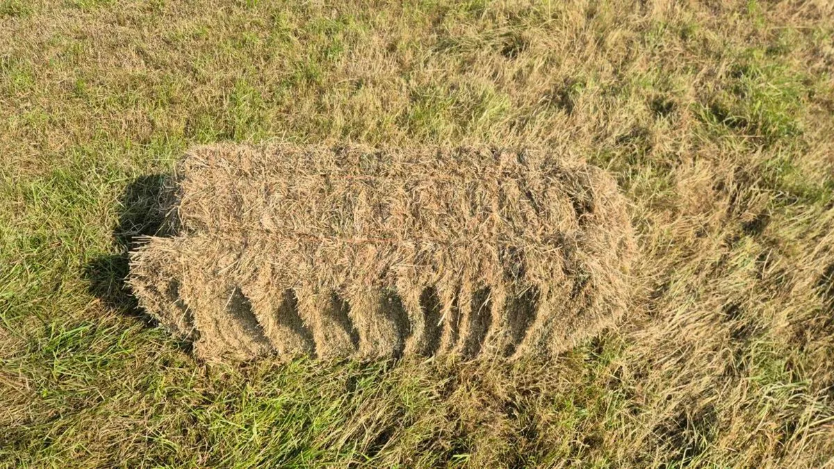 Square bales of hay - Image 1