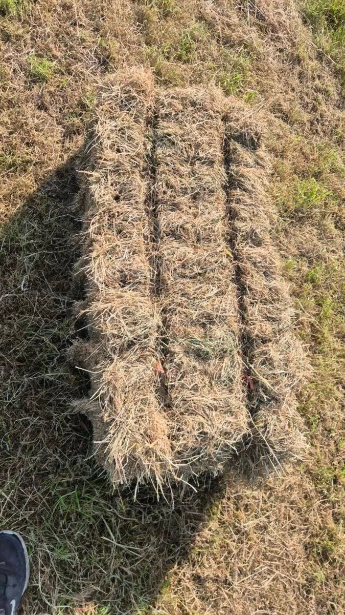 Square bales of hay - Image 3