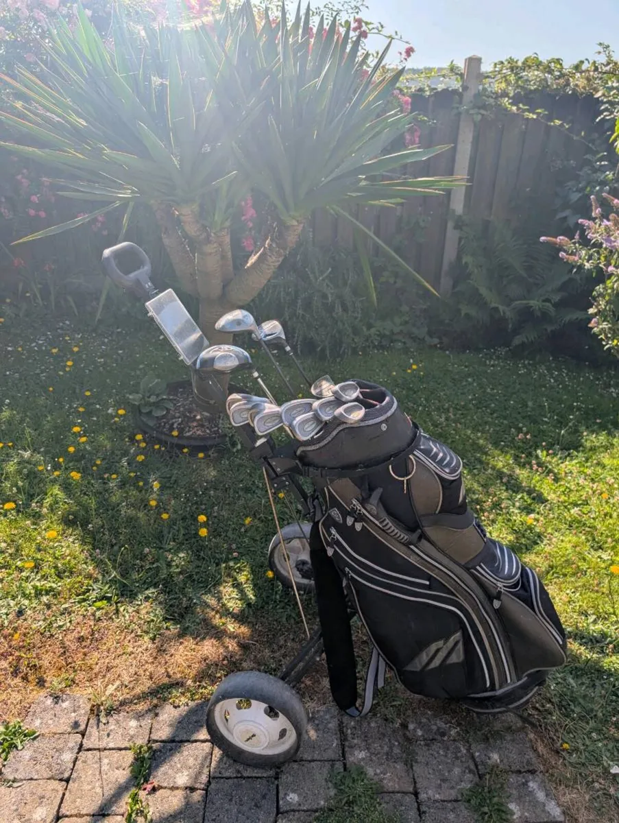 Adult beginner Golf clubs - Image 1
