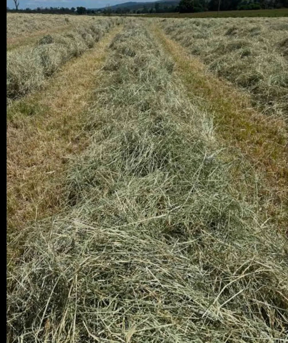Round Bales Of Hay - Image 2