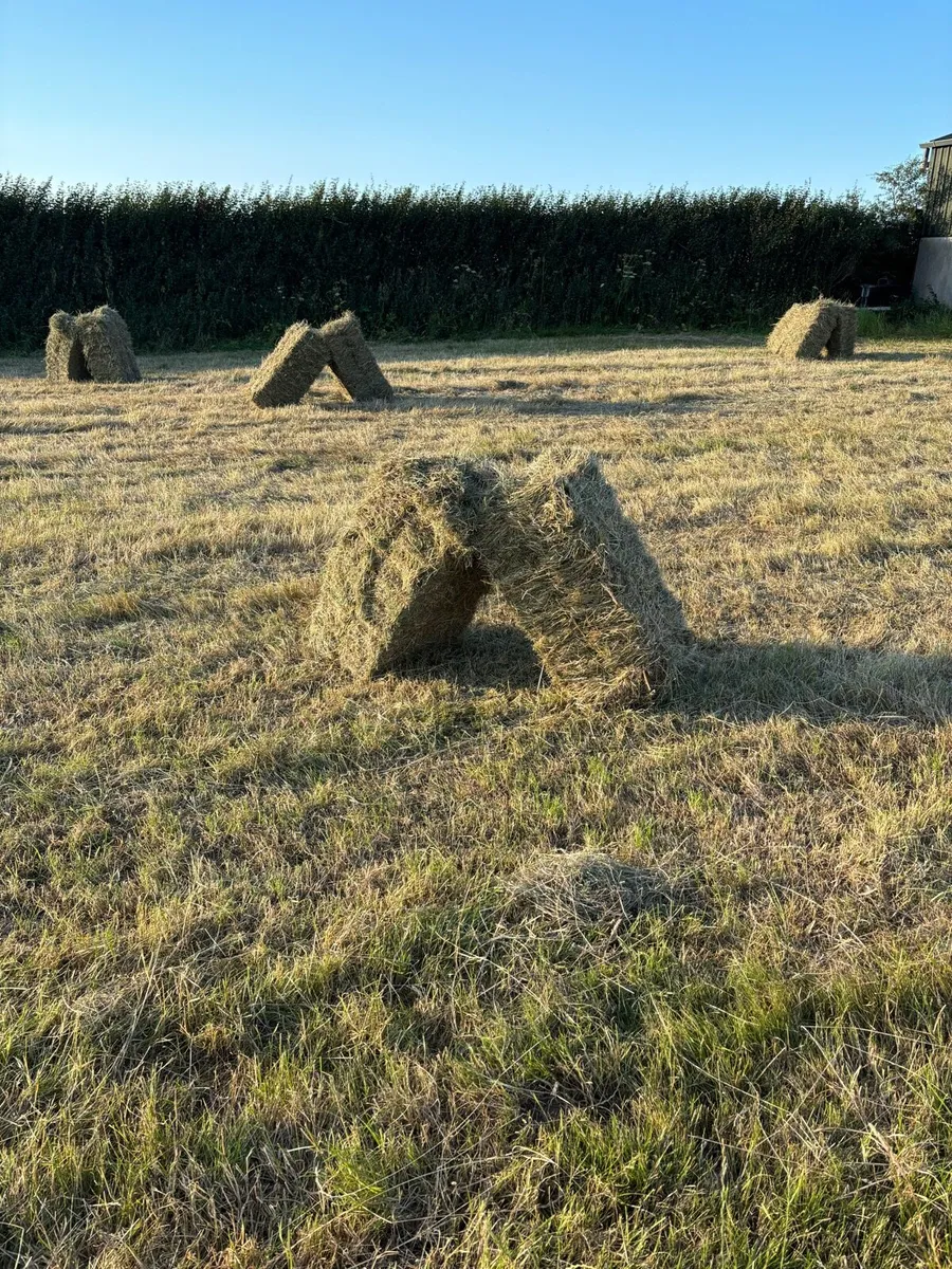Square Bales of Hay