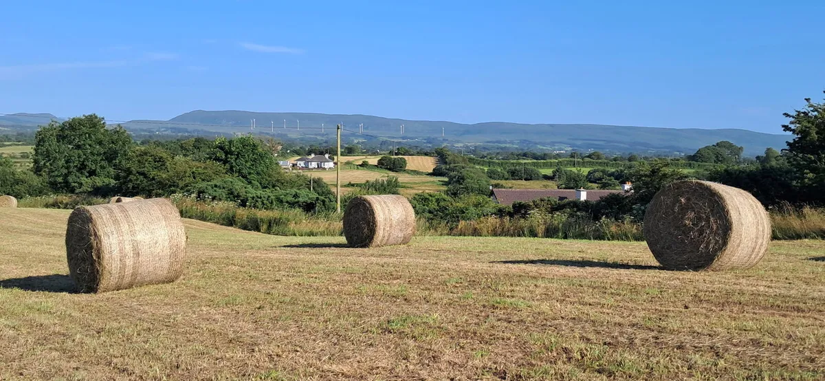 40 1st cut Silage Bales from June 2025 - Image 1