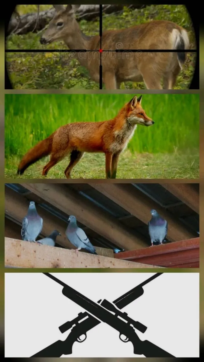 Free Deer, Fox and birds in shed control - Image 1