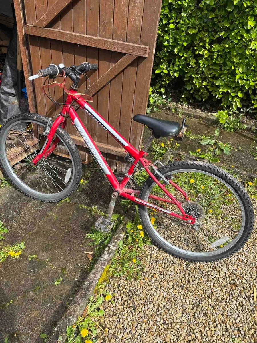 Children bike 24 wheels.