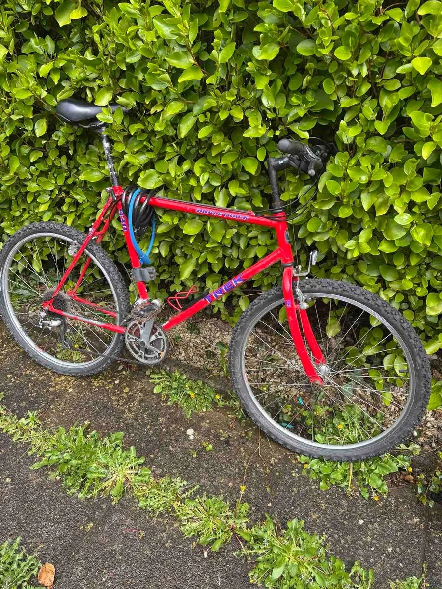 Adult Bike – Large Frame – Great Condition - Image 2