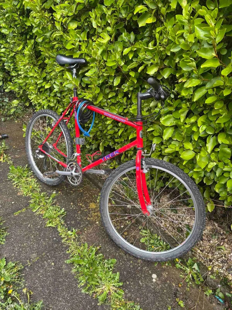 Adult Bike – Large Frame – Great Condition - Image 1