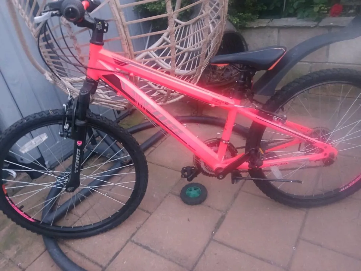 24 inch unisex mountain bike - Image 1