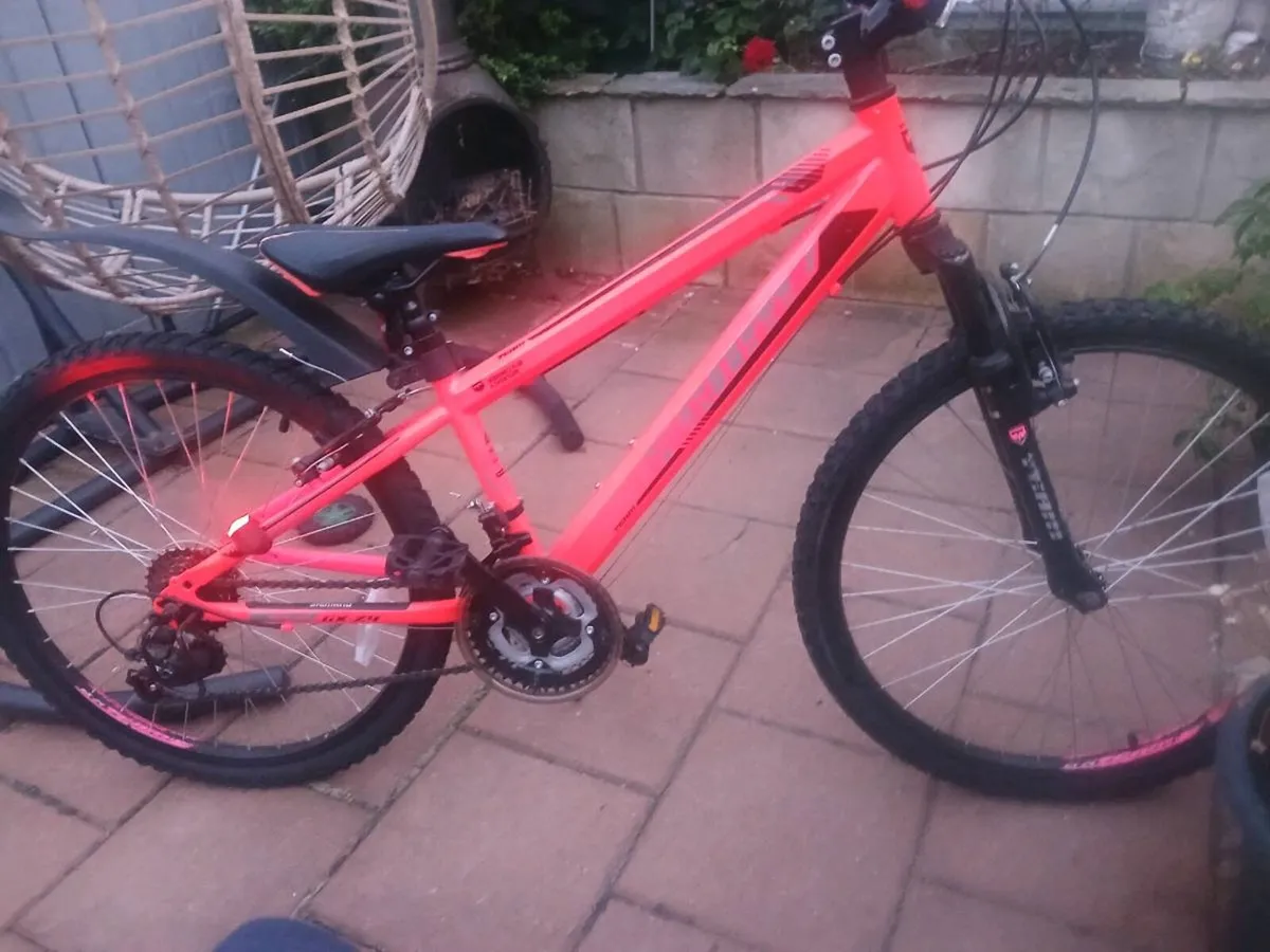24 inch unisex mountain bike - Image 2