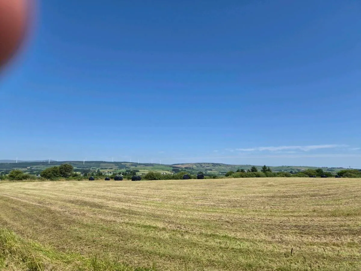 Land - Image 3