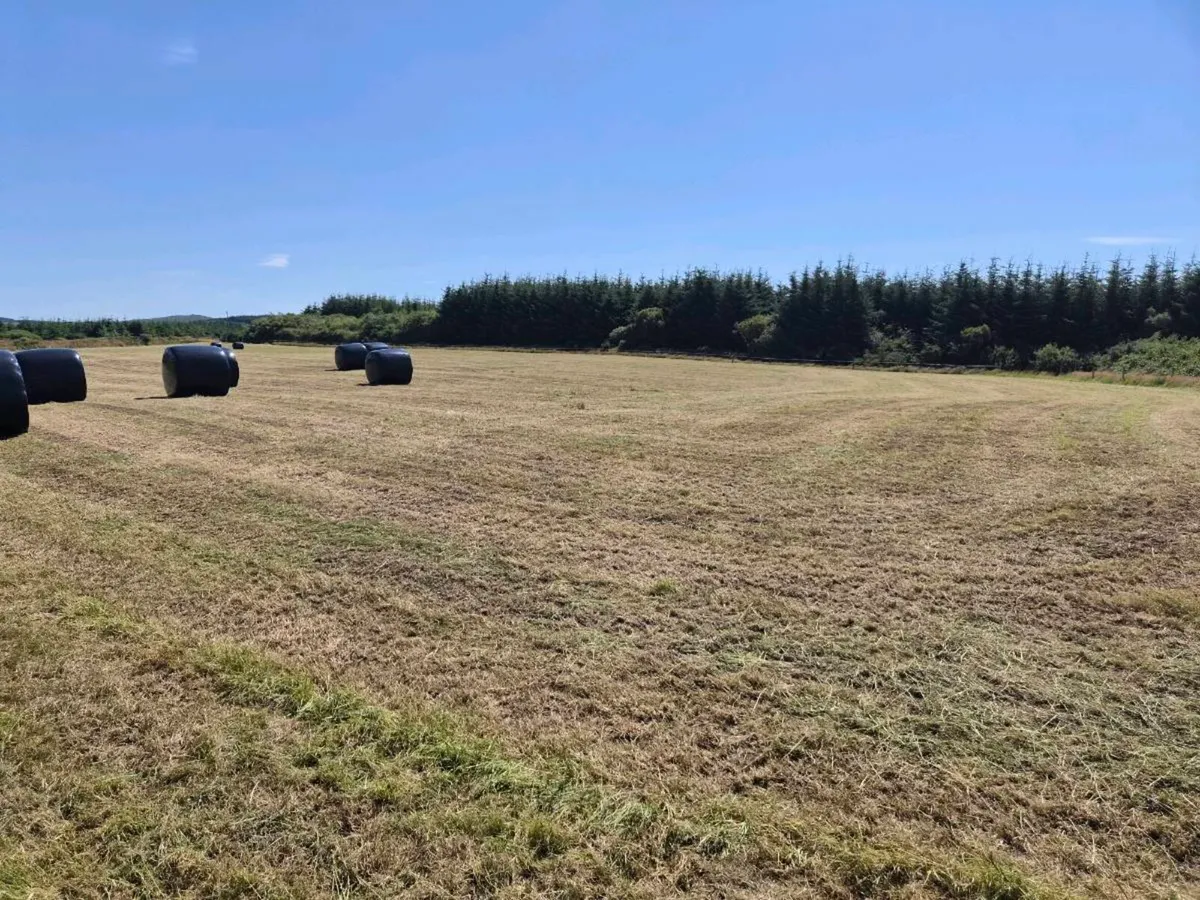 Land - Image 4