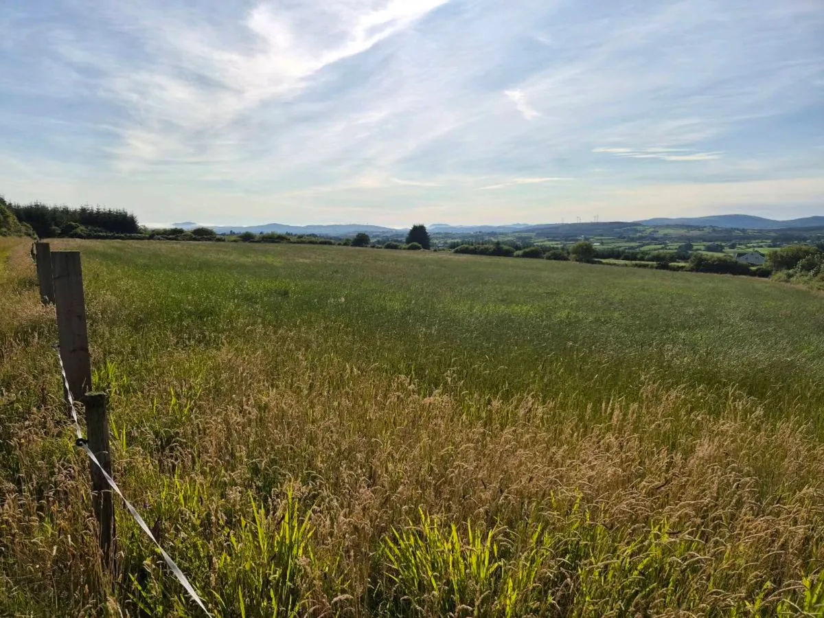 Land - Image 1