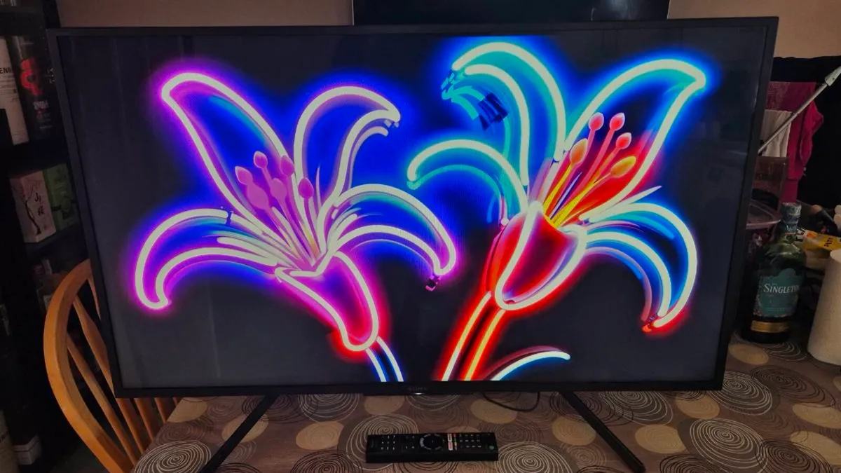 Sony 43" Bravia Smart TV - Image 3