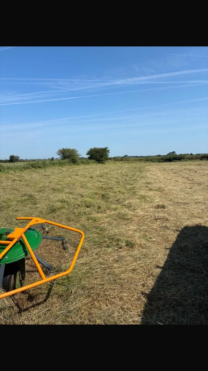 Hay for sale - Image 2