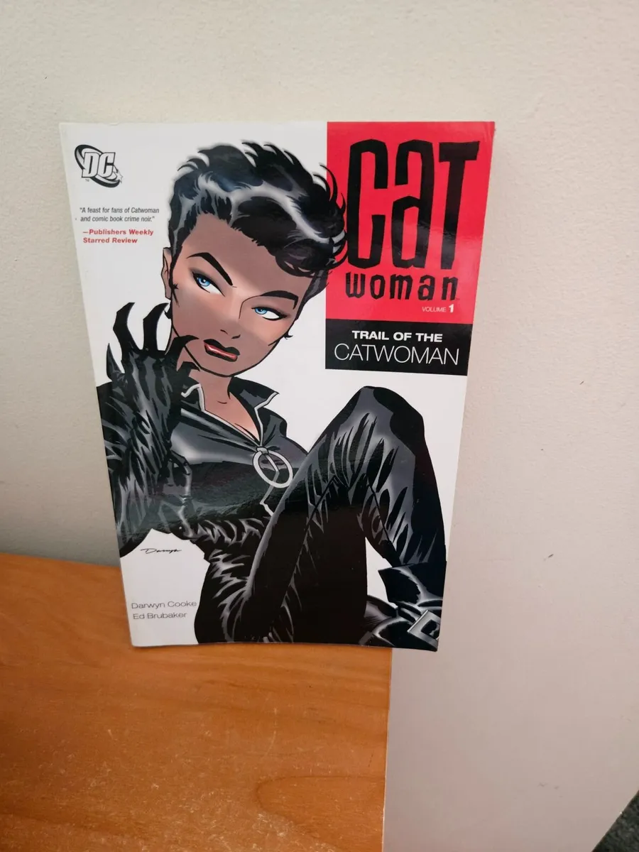 Batman Catwoman Book