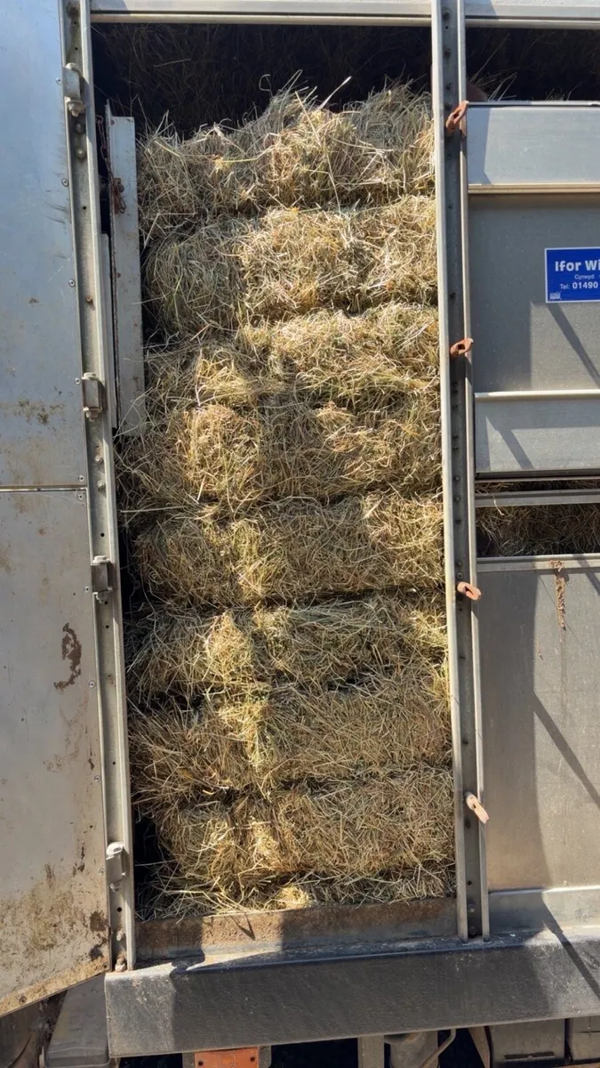 square Bales of hay