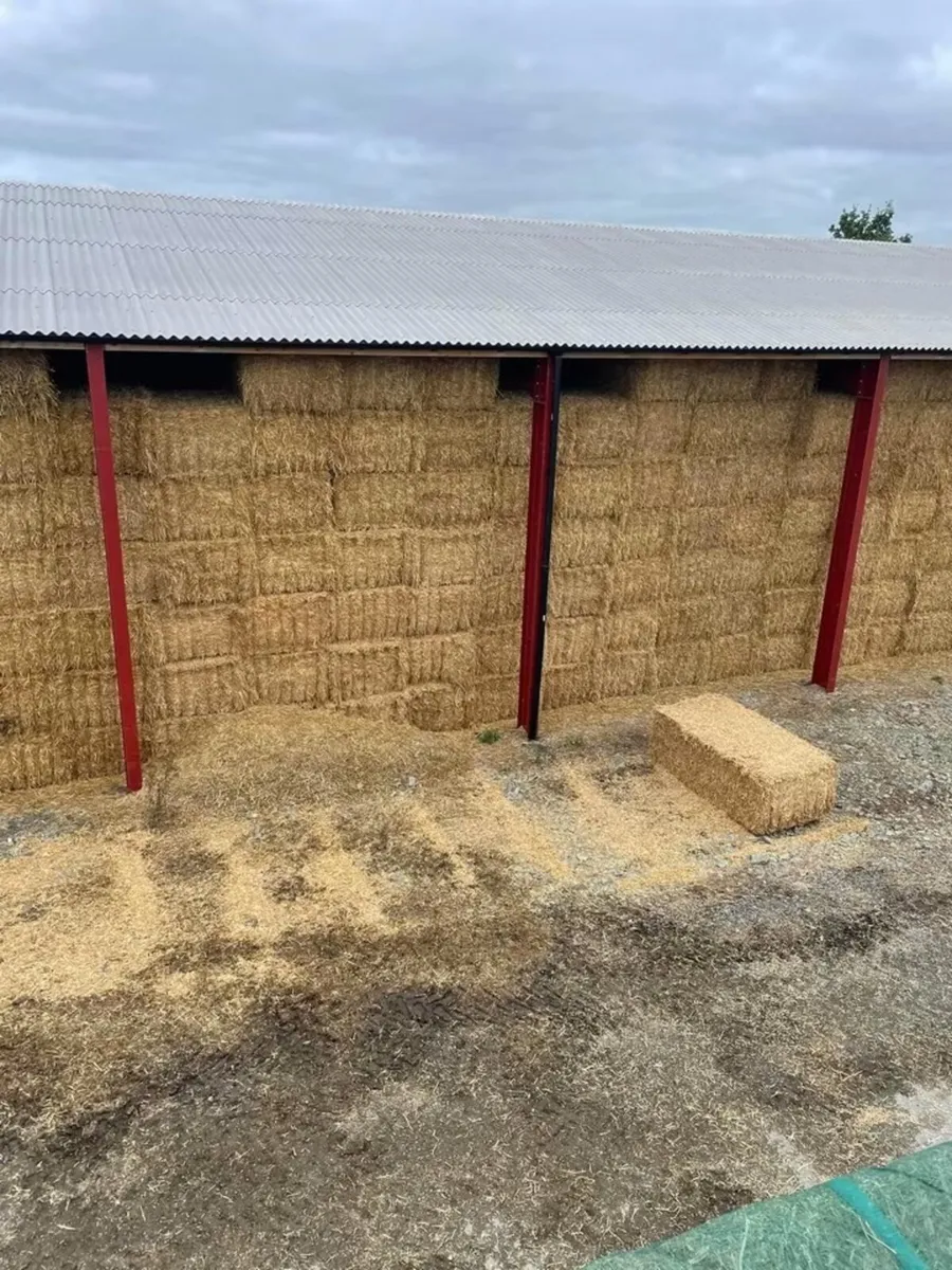 Chopped Irish Barley straw in 8x4x3 bales - Image 3