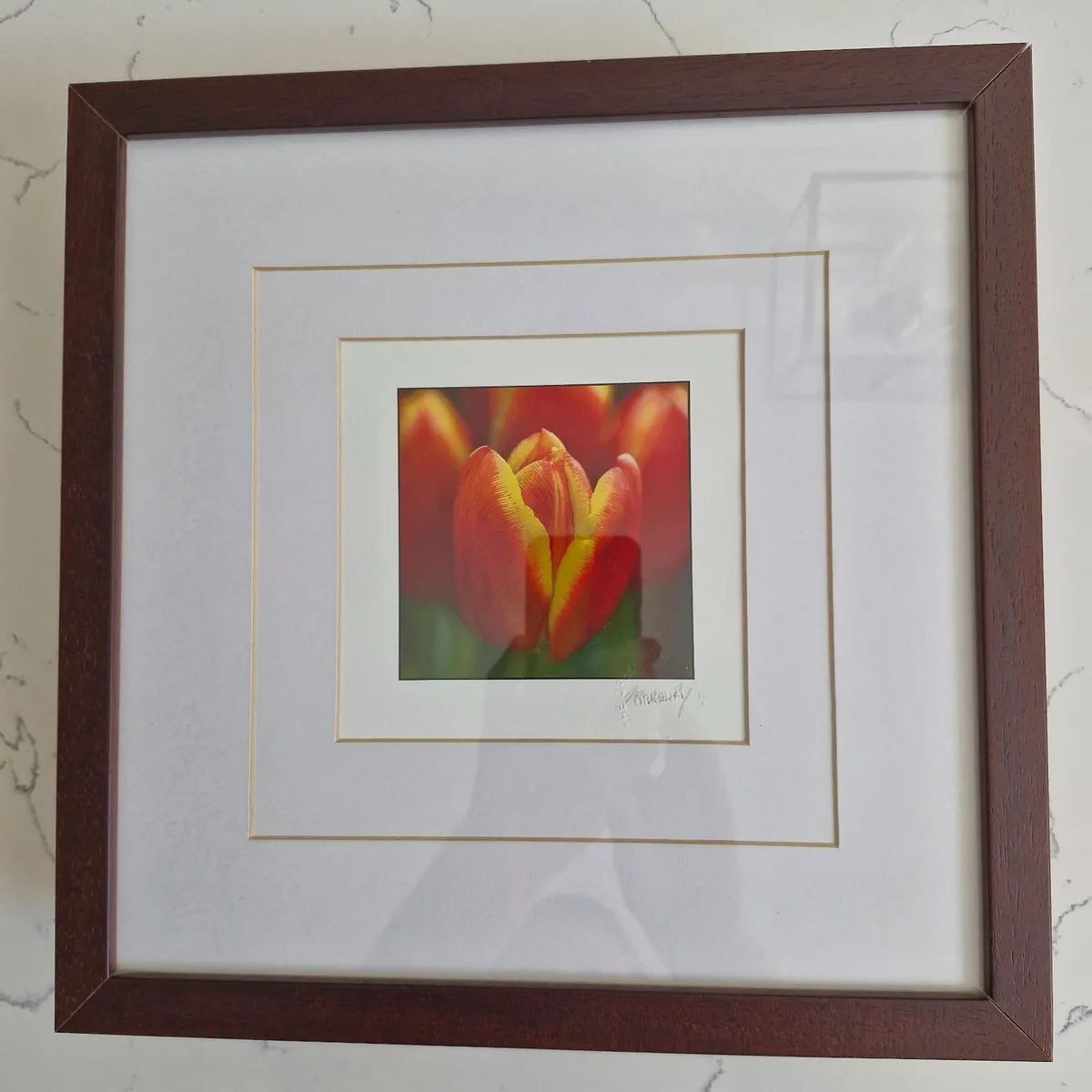 Framed Botanical Art Set - M. Wiley - Image 1