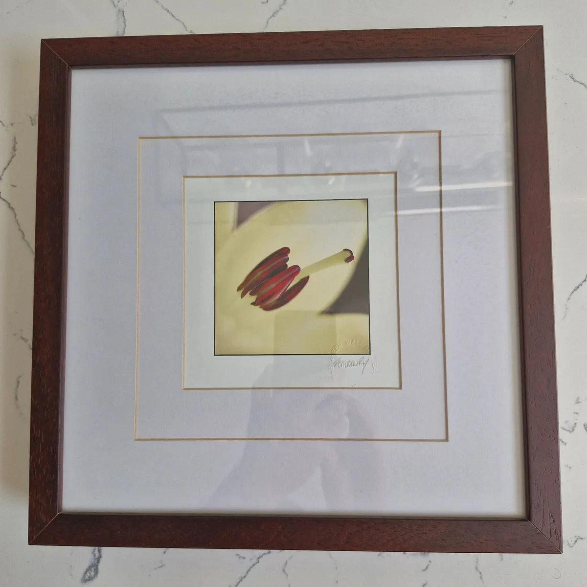 Framed Botanical Art Set - M. Wiley - Image 2