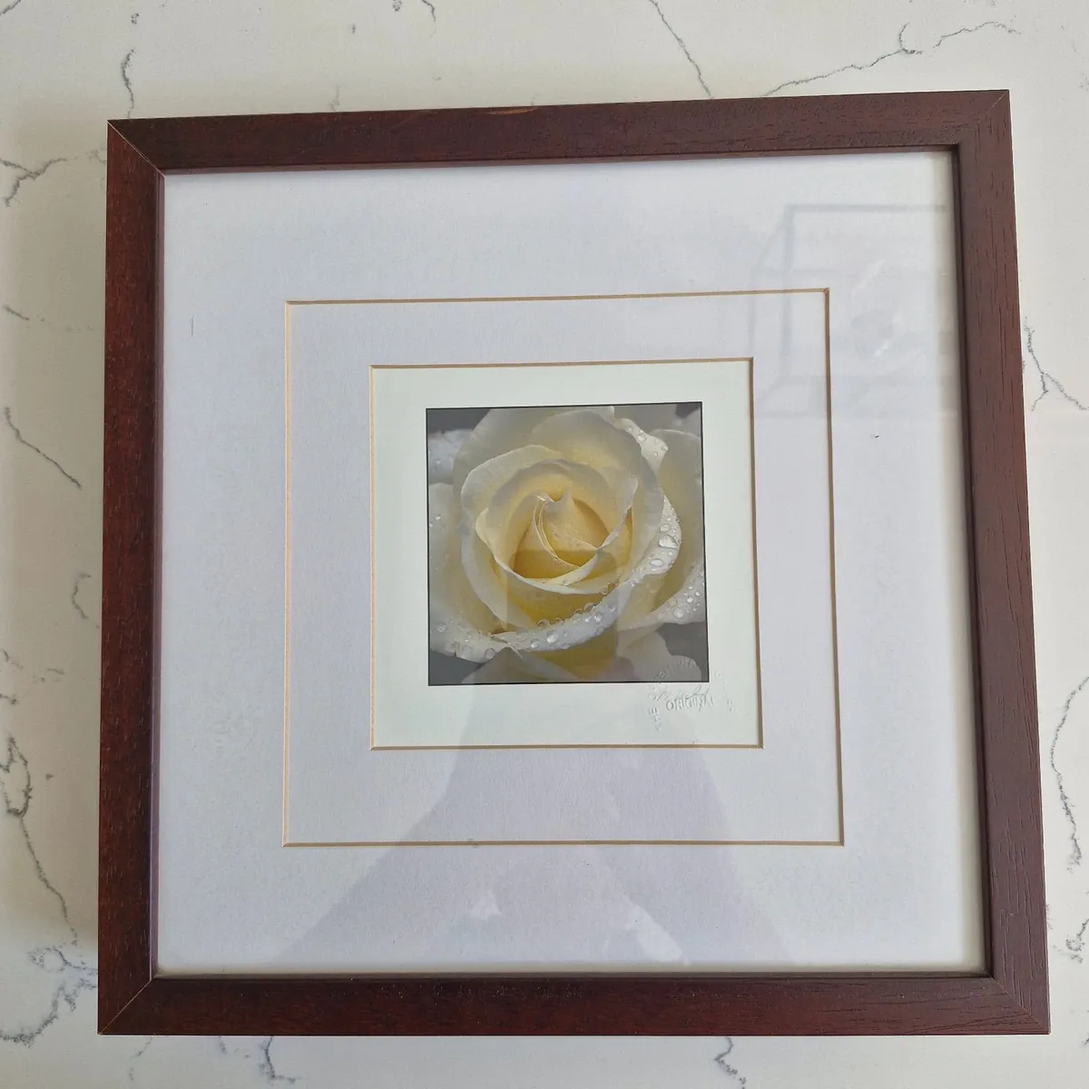 Framed Botanical Art Set - M. Wiley - Image 3
