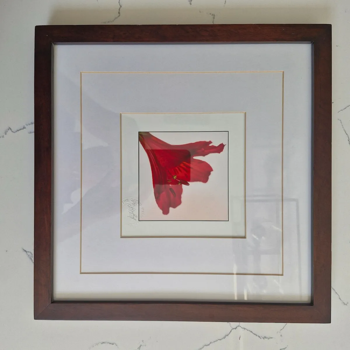 Framed Botanical Art Set - M. Wiley - Image 4