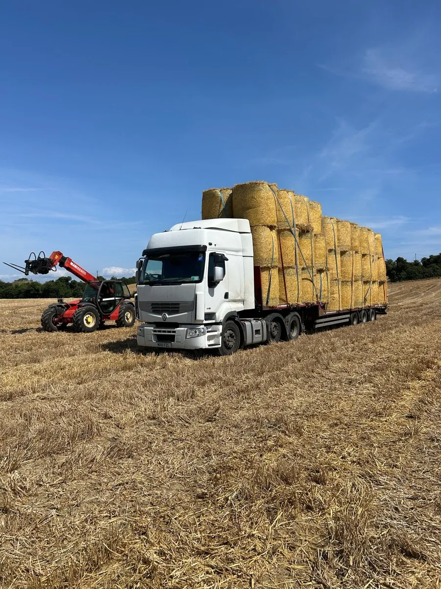 Round bales of Barley straw - Image 1