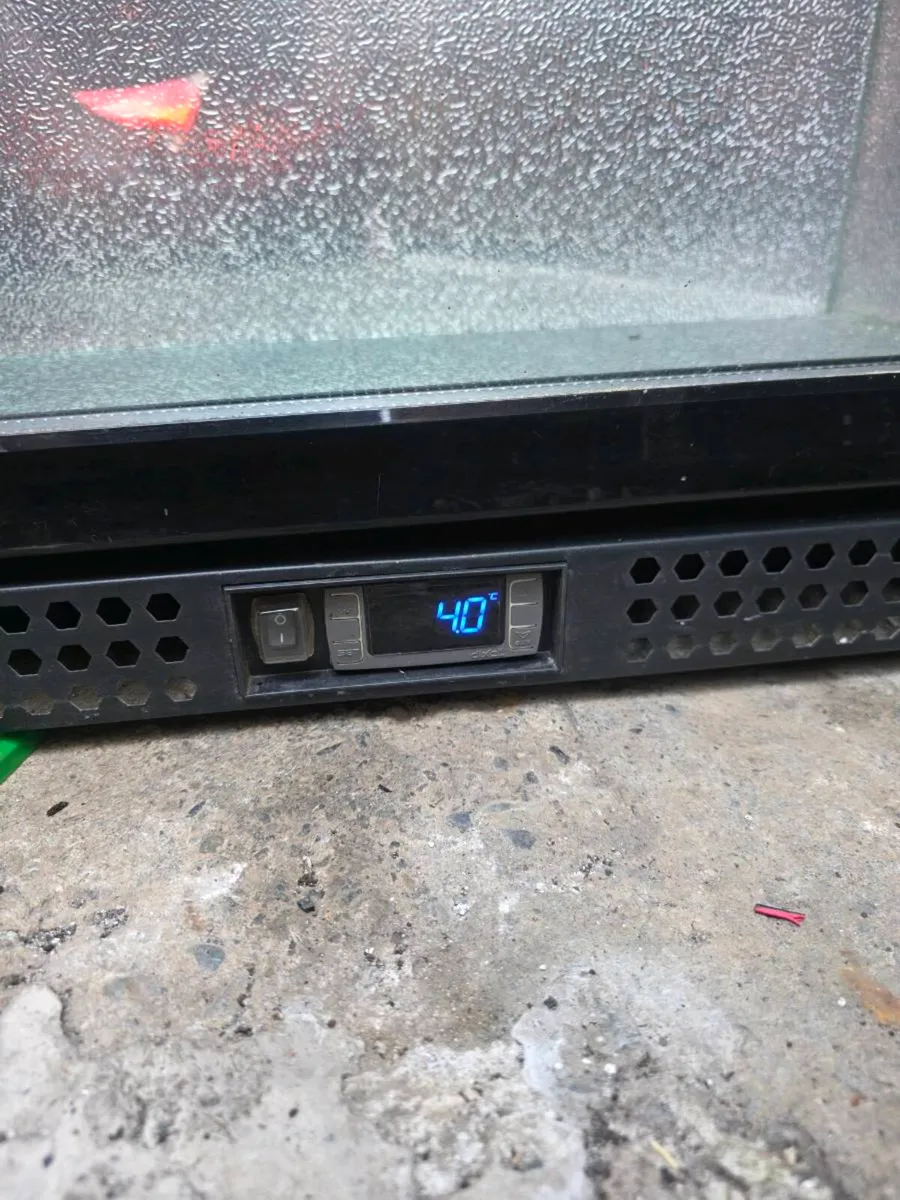 Elstar Commercial Fridge - Image 2