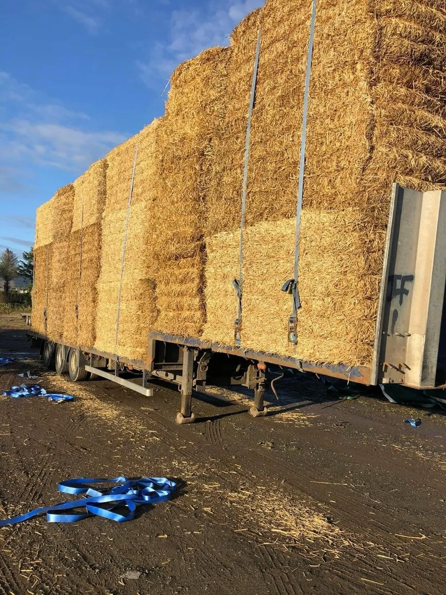 New season Irish Barley straw in 8x4x4 Bales - Image 2