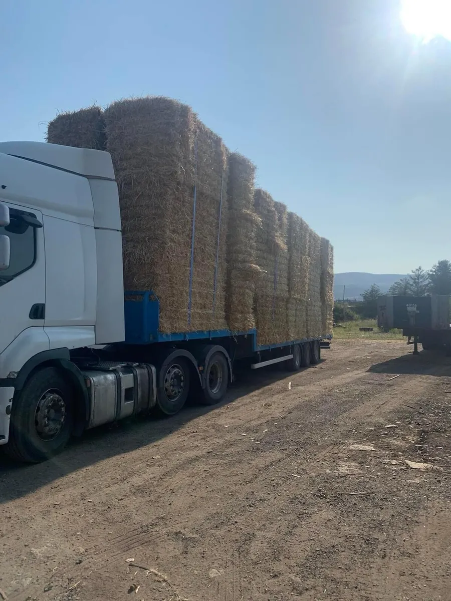 New season Irish Barley straw in 8x4x4 Bales - Image 3