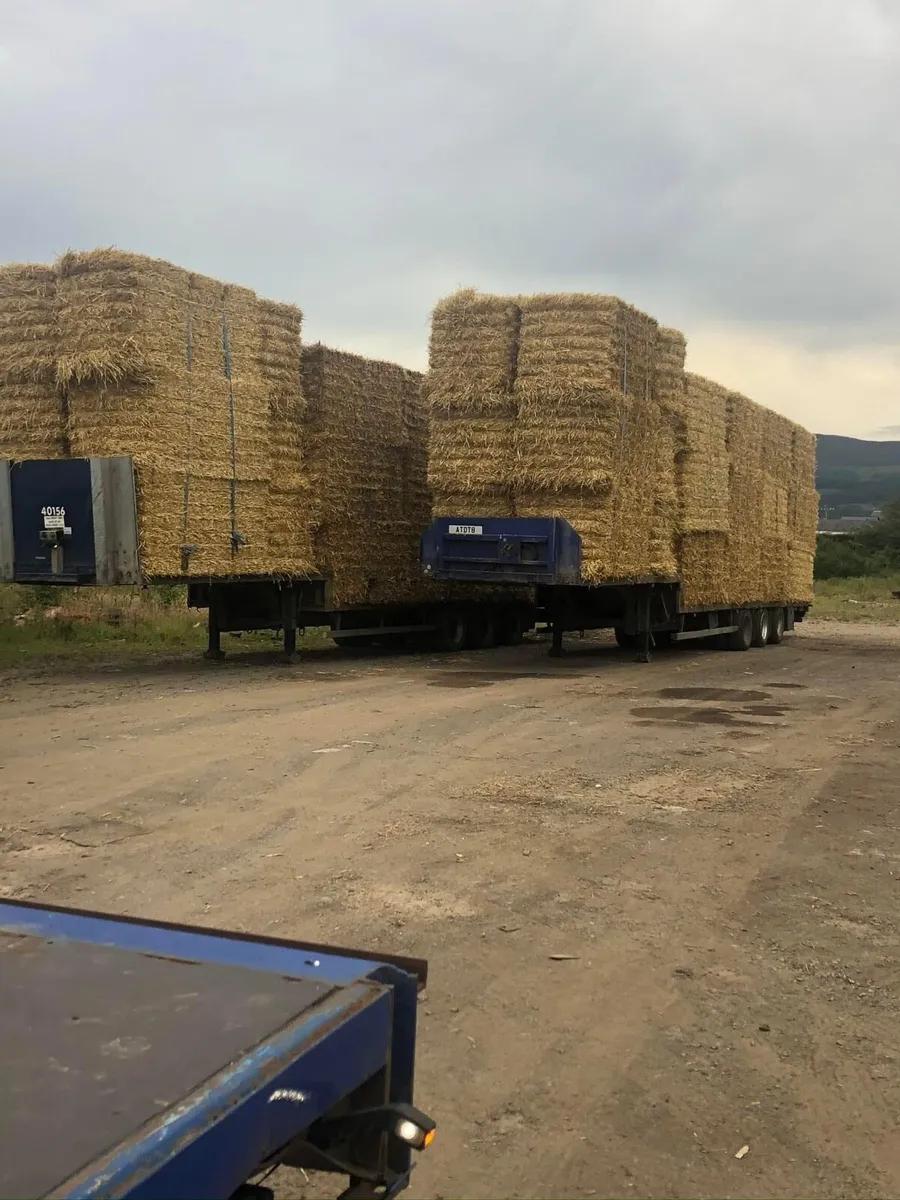 New season Irish Barley straw in 8x4x4 Bales - Image 4