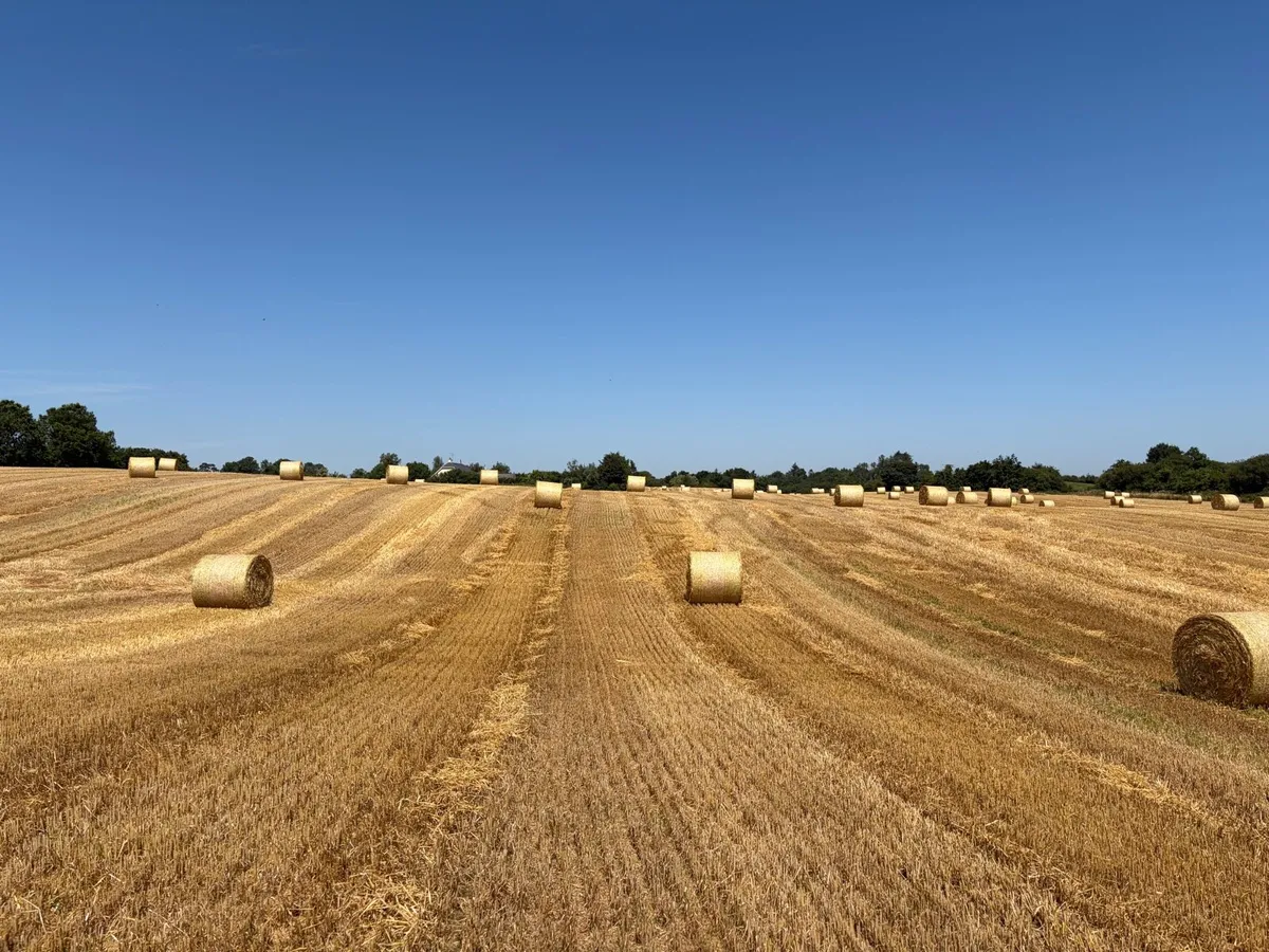 4 X 4 Barley Straw - Image 1