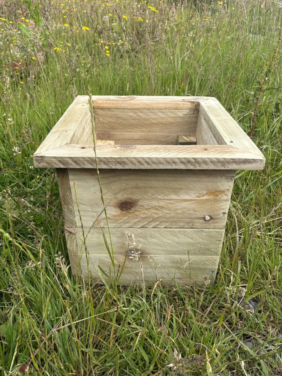 Plant pots - Image 1