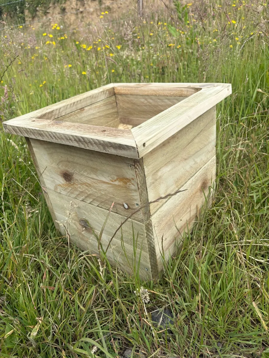 Plant pots - Image 4