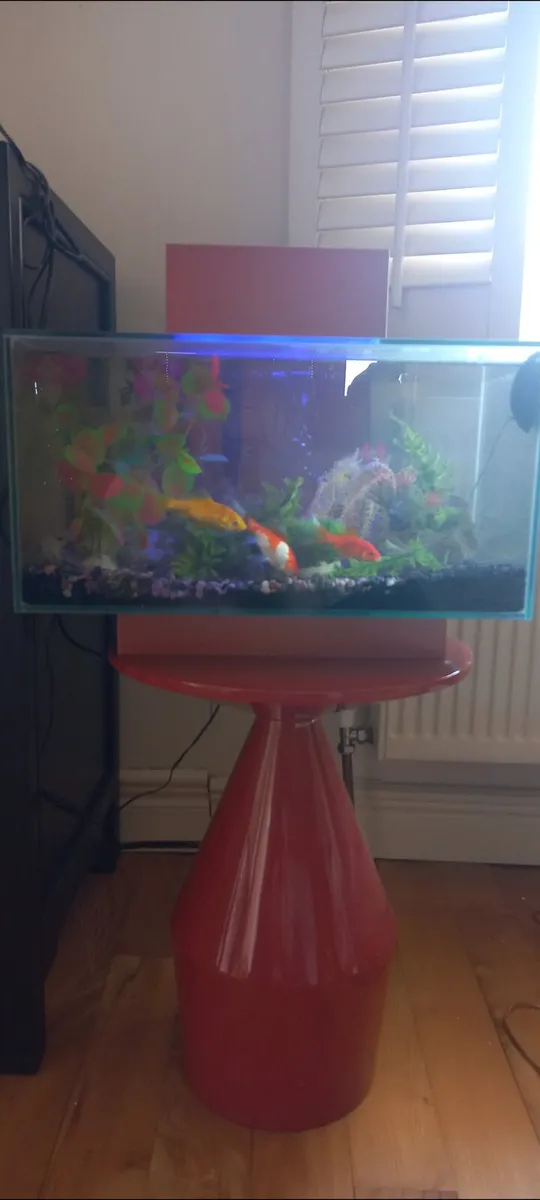 Fluval Edge, Burnt Orange 2.0 23L Aquarium … - Image 3