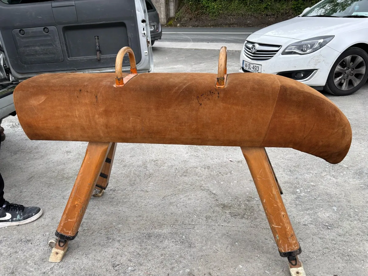 Horse pommel - Image 1