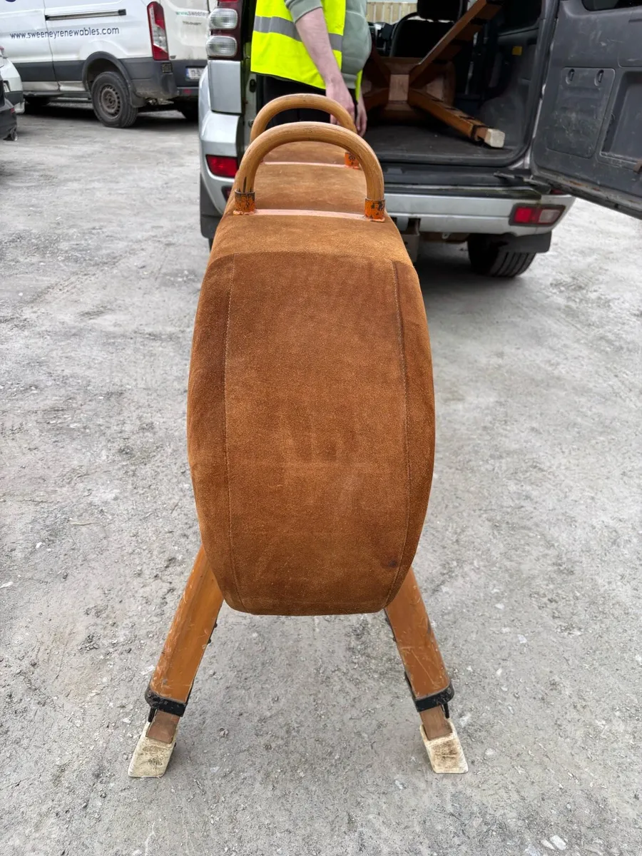 Horse pommel - Image 2