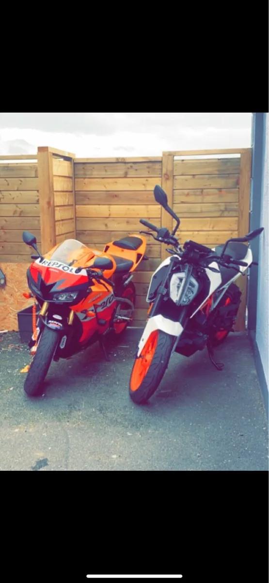 Honda cbr 600rr - Image 3