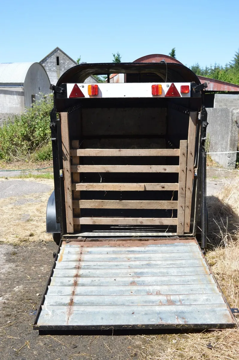 8 x 5 Livestock Trailer - Image 2