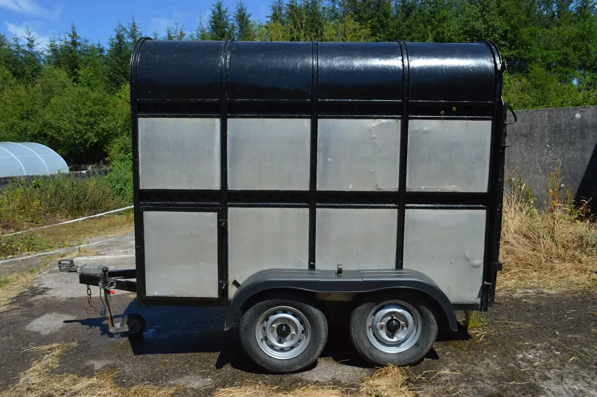 8 x 5 Livestock Trailer - Image 4